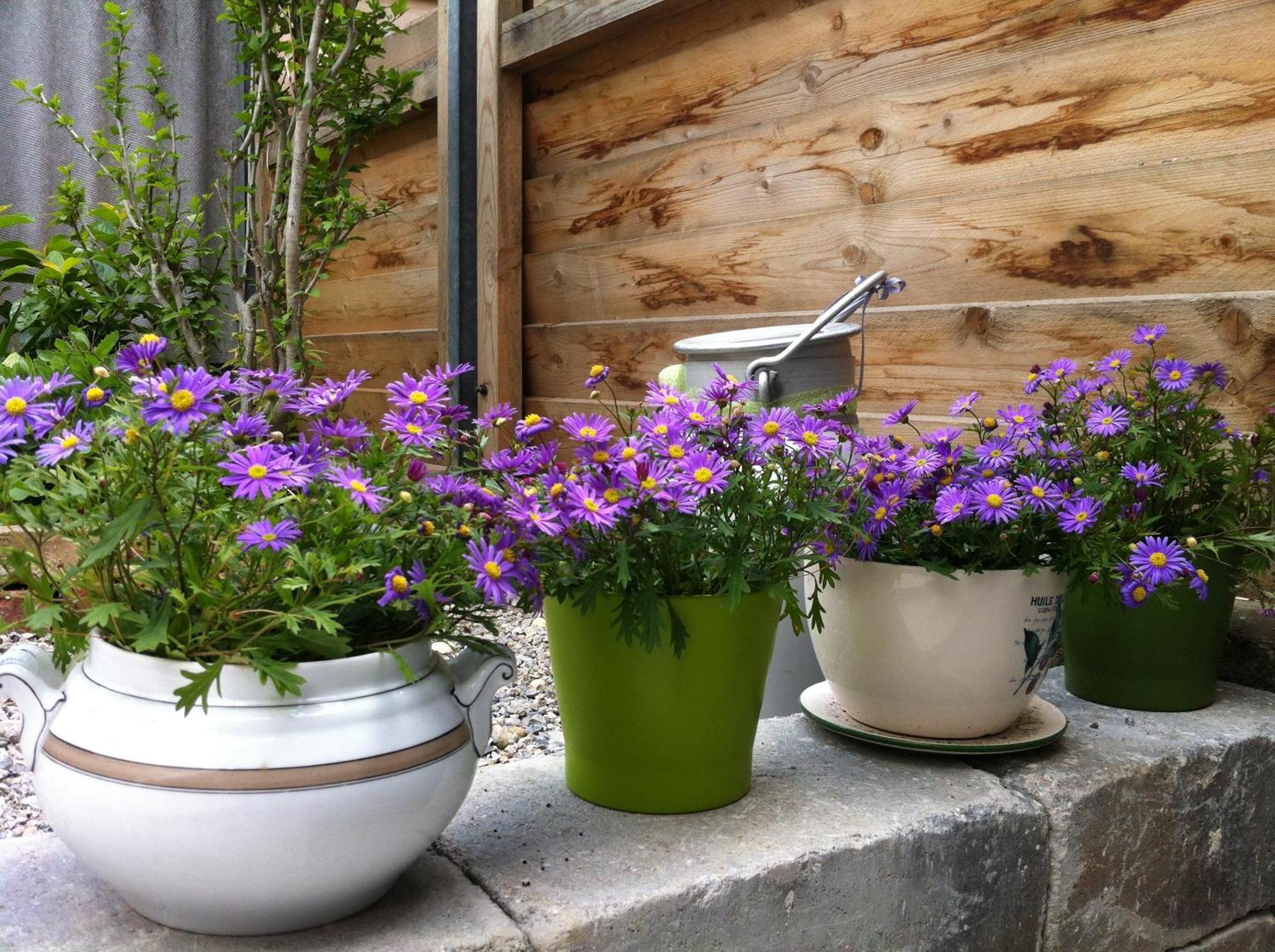 Homestay Traubengarten Winkler *