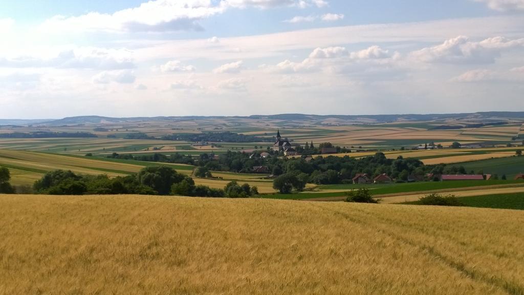 Homestay Traubengarten Winkler