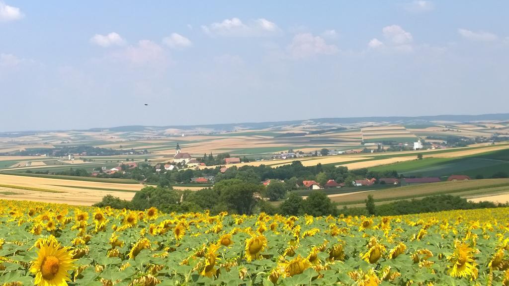 Traubengarten Winkler Alloggio in famiglia Niederhollabrunn