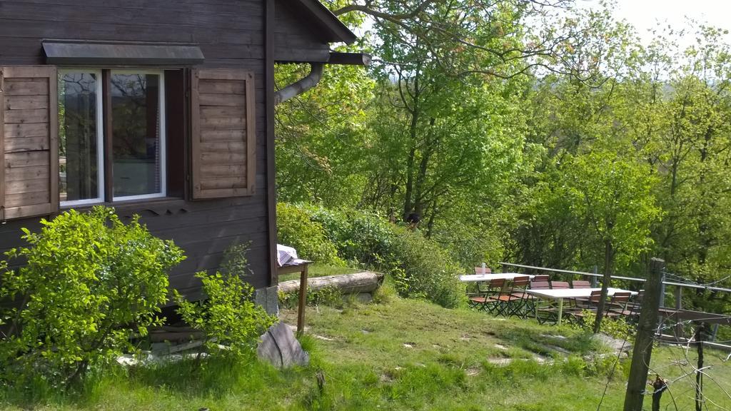 Traubengarten Winkler Homestay Niederhollabrunn