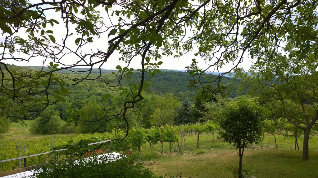 Traubengarten Winkler Niederhollabrunn