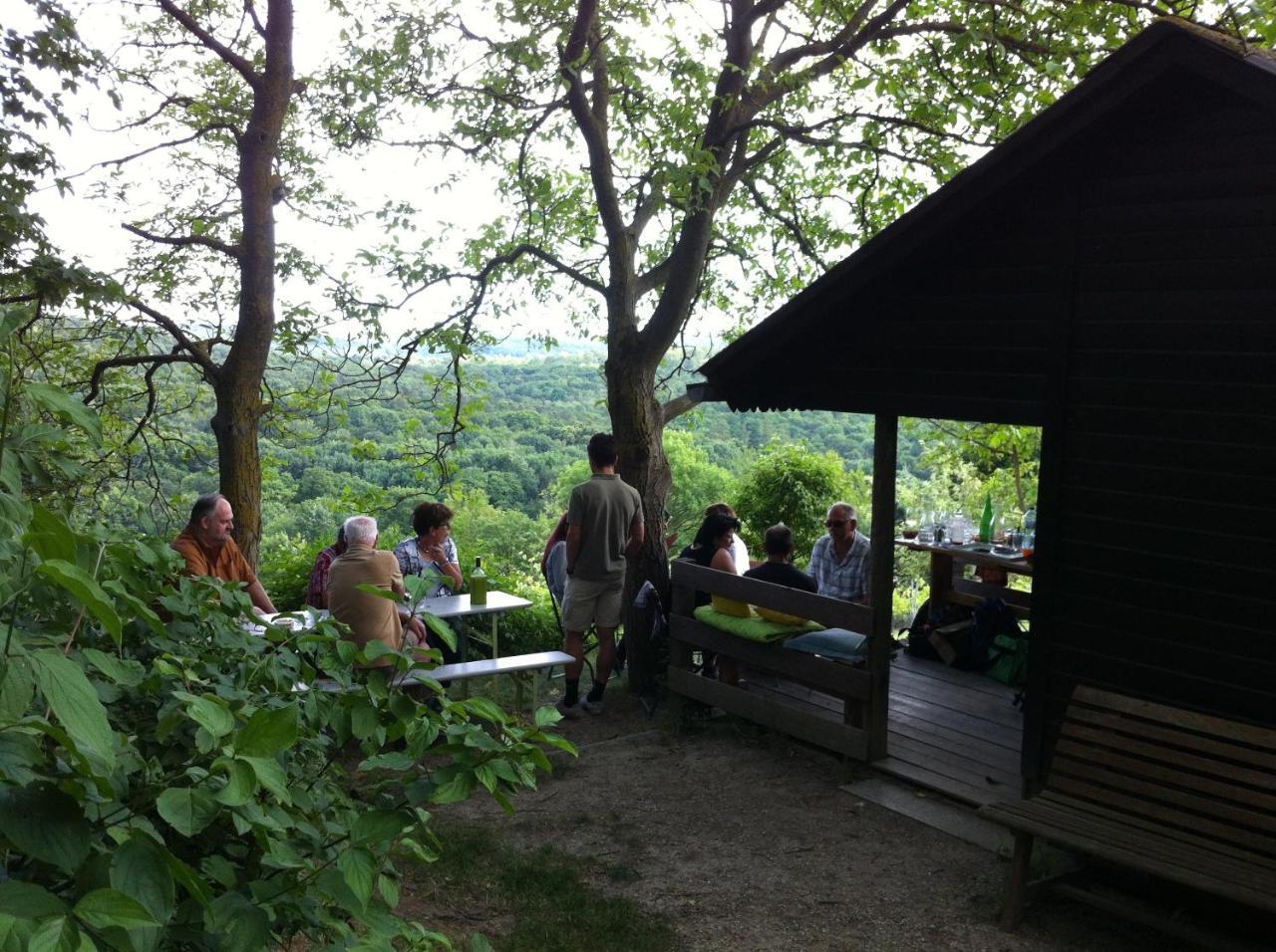 Traubengarten Winkler Niederhollabrunn